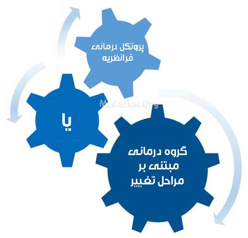 پروتکل درمانی فرانظریه یا گروه درمانی مبتنی بر مراحل تغییر